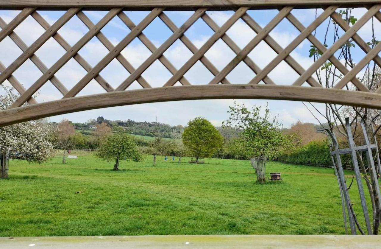 Orchard View Yurt & Hot Tub Somerset Weston-super-Mare Exteriör bild