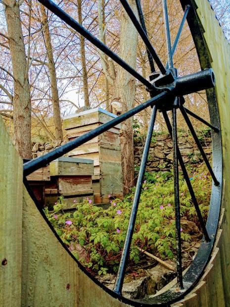 Orchard View Yurt & Hot Tub Somerset Weston-super-Mare Exteriör bild